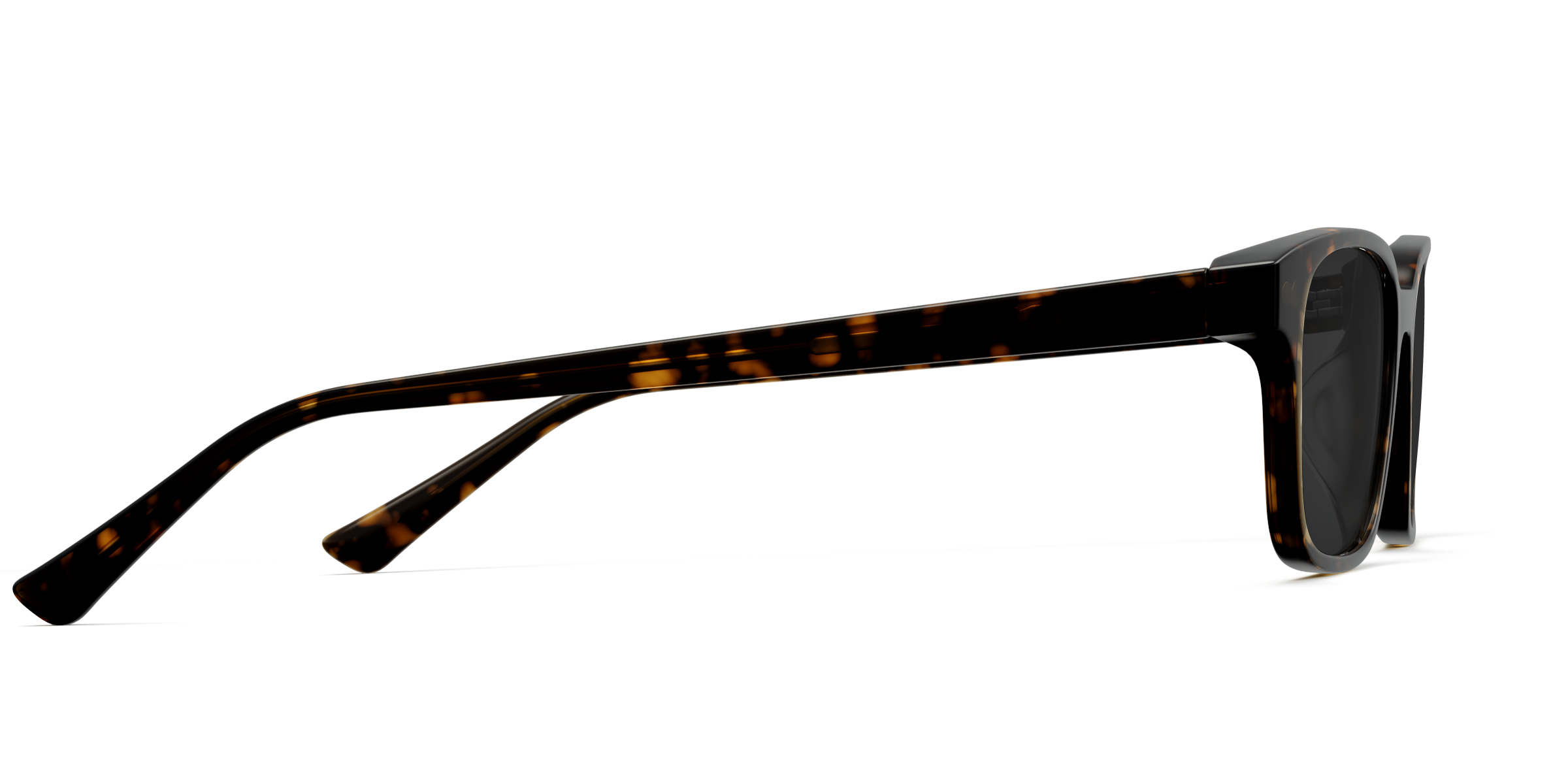 The Finley - Tortoise Sun - Image 5