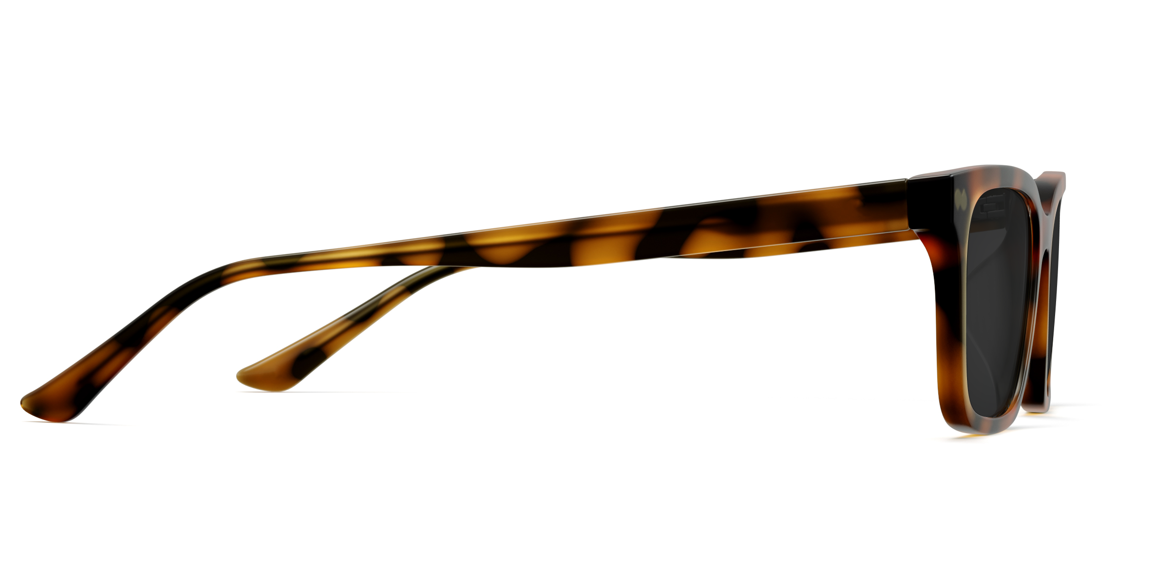 The Larkin - Tortoise Sun - Image 5