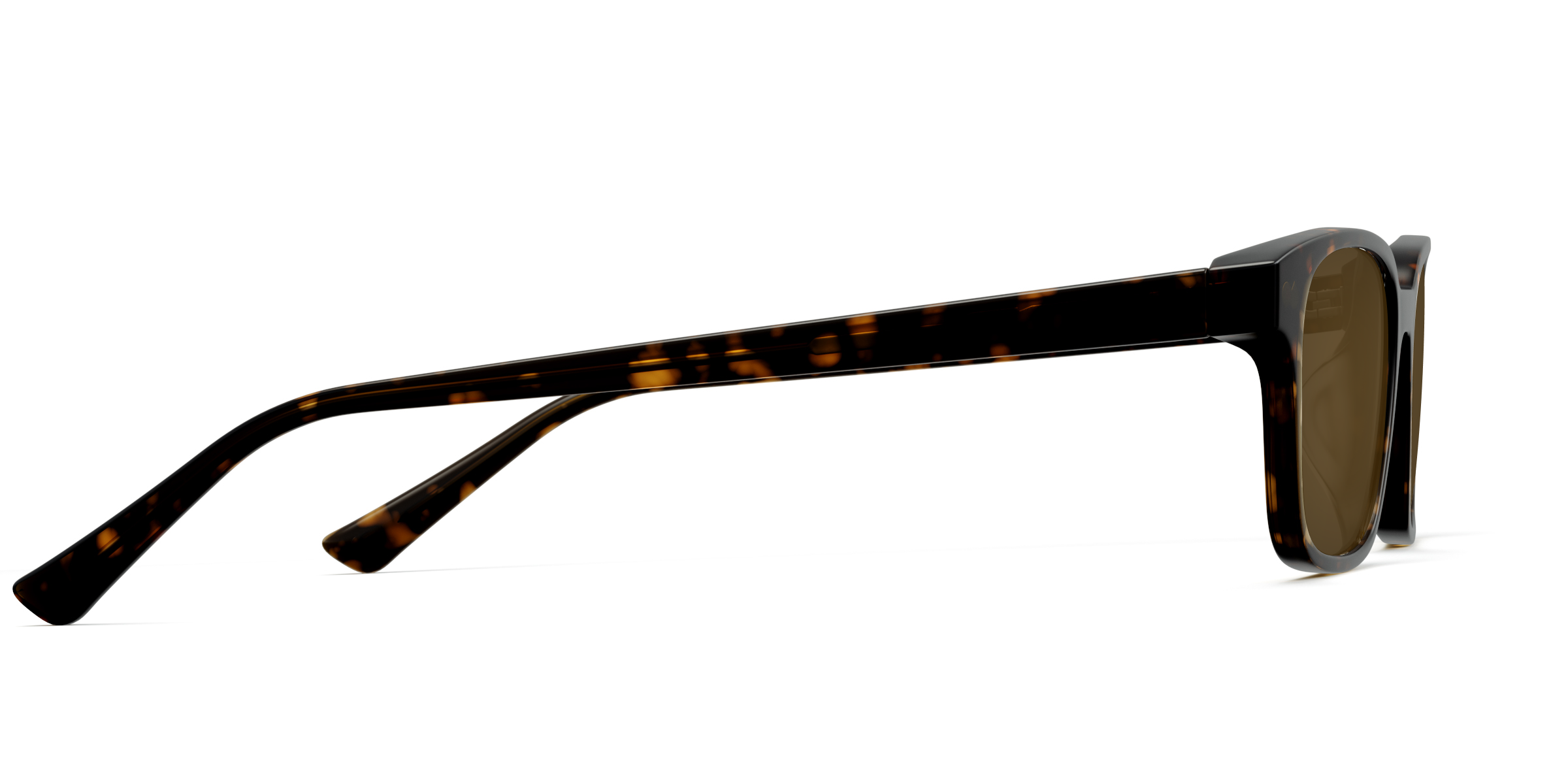 The Finley - Tortoise Sun - Image 6