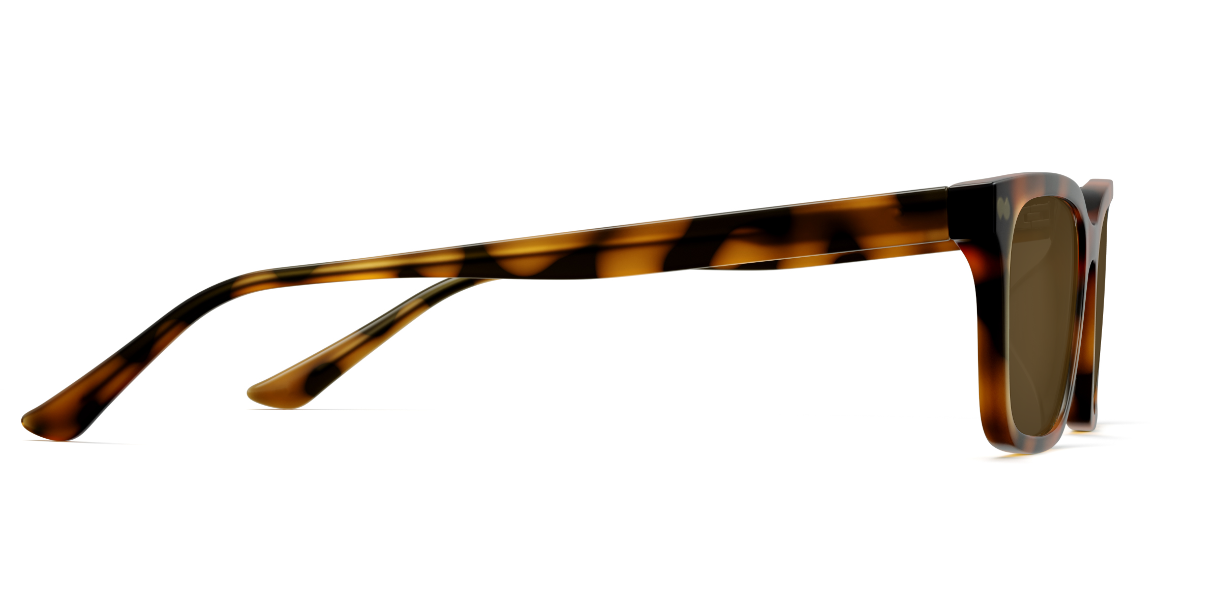 The Larkin - Tortoise Sun - Image 6