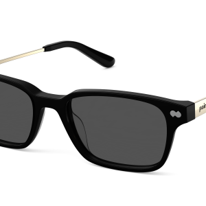 The Finley - Black Acetate Gold Metal Sun